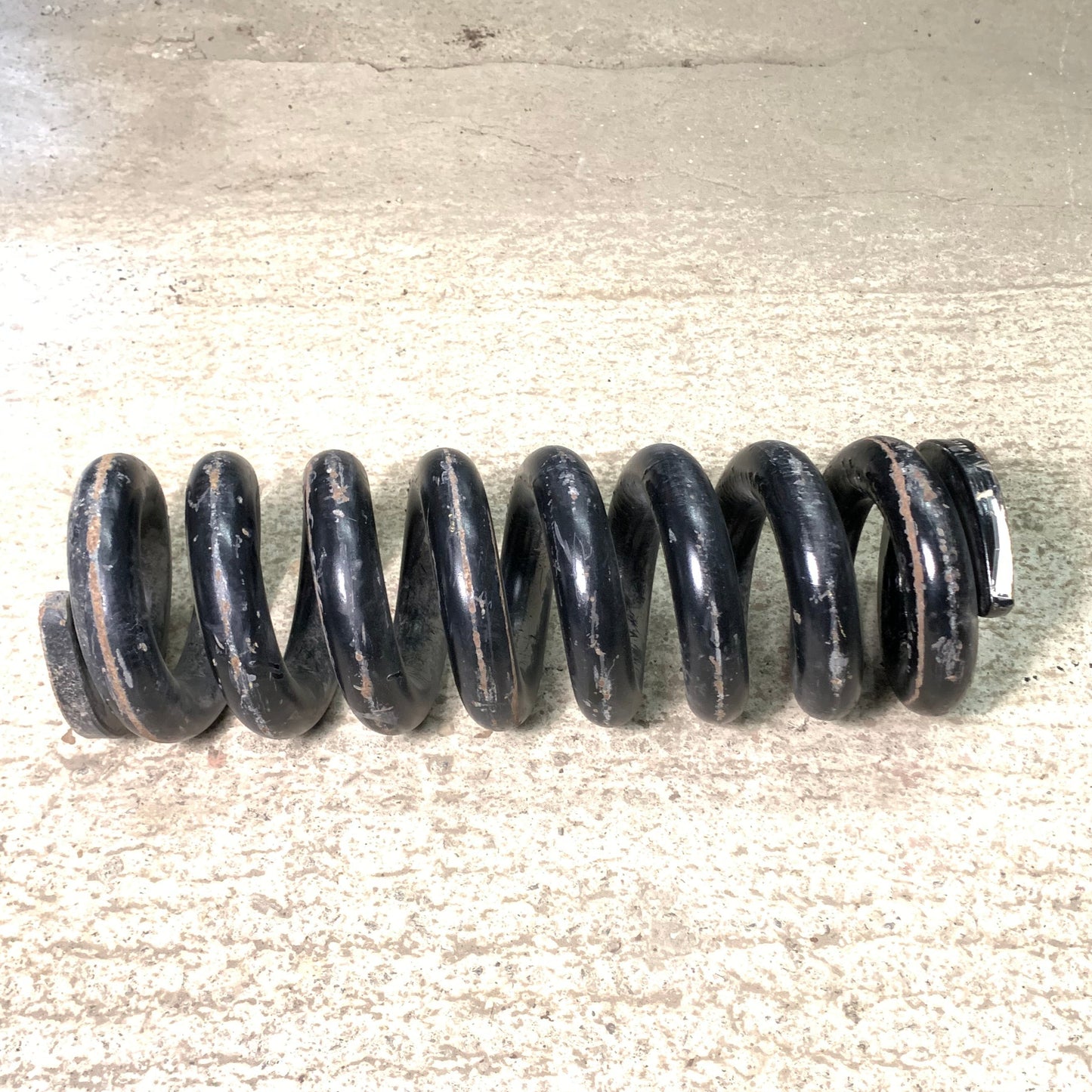 3408237 SPRING