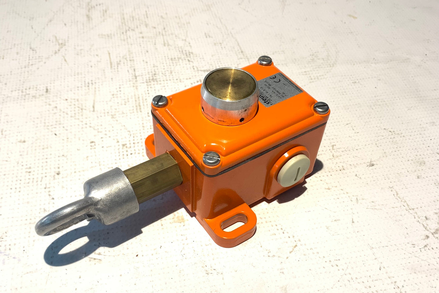 55031607