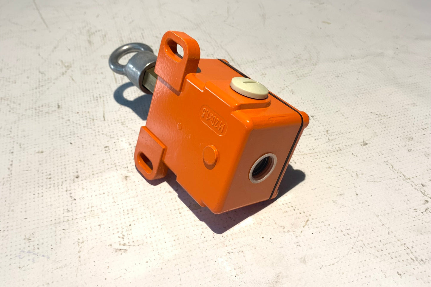 55031607