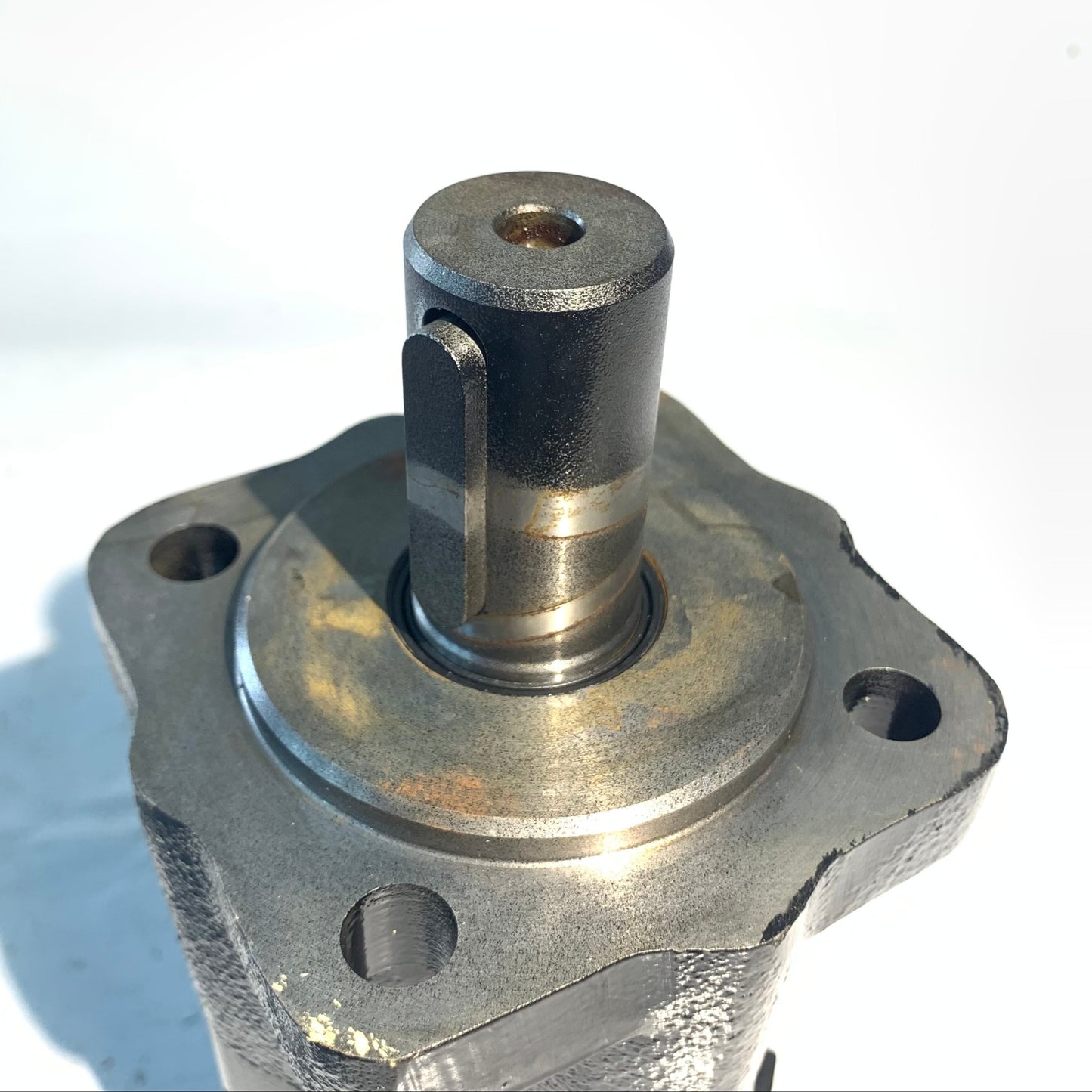 HM1006